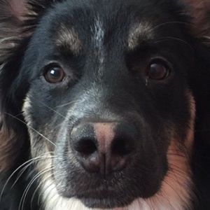 Meet your Posher, Kaylee